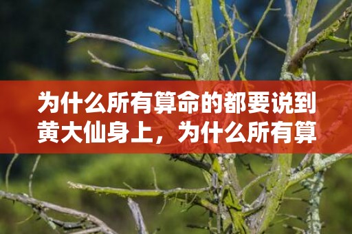 为什么所有算命的都要说到黄大仙身上，为什么所有算命的给我看的都不准呢？怎么辨别算命的在骗你