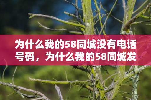 为什么我的58同城没有电话号码，为什么我的58同城发不了消息，58同城对方主动发消息给我
