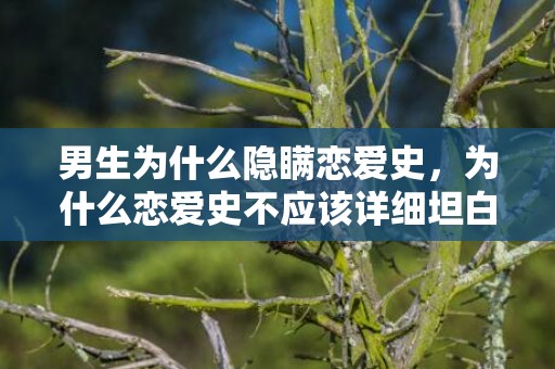 男生为什么隐瞒恋爱史，为什么恋爱史不应该详细坦白呢 婚后怎样坦白恋爱史好