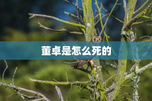 董卓是怎么死的