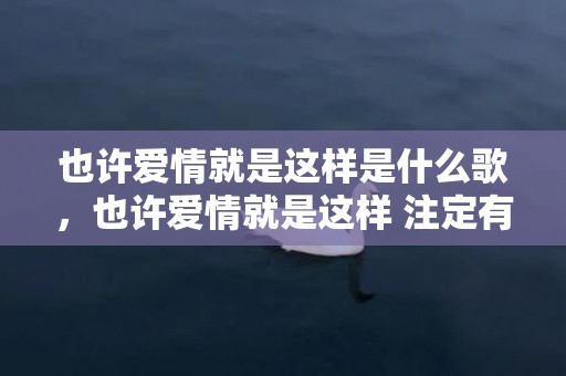 也许爱情就是这样是什么歌，也许爱情就是这样 注定有人会受伤是什么歌，注定没结果还许下了承诺什么歌