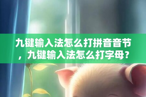 九键输入法怎么打拼音音节，九键输入法怎么打字母？手机打字九宫格怎么设置