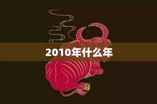 2010年什么年