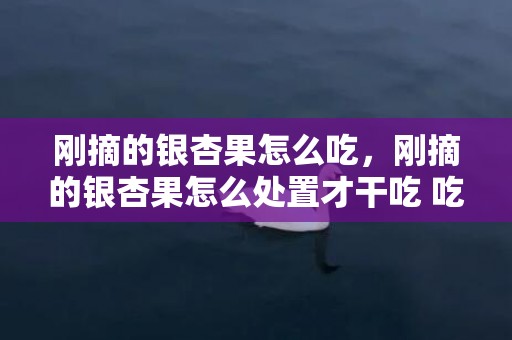 刚摘的银杏果怎么吃，刚摘的银杏果怎么处置才干吃 吃银杏果有什么利益