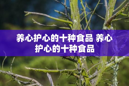 养心护心的十种食品 养心护心的十种食品