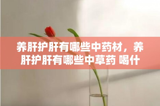 养肝护肝有哪些中药材，养肝护肝有哪些中草药 喝什么茶养肝护肝