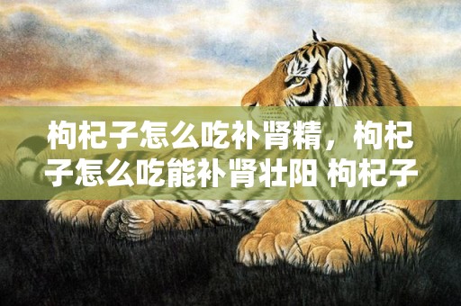 枸杞子怎么吃补肾精，枸杞子怎么吃能补肾壮阳 枸杞子怎么吃壮阳