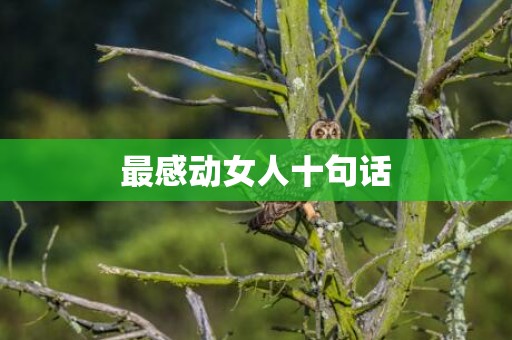 最感动女人十句话