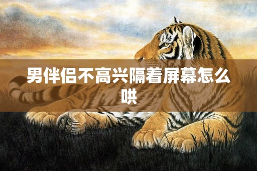 男伴侣不高兴隔着屏幕怎么哄
