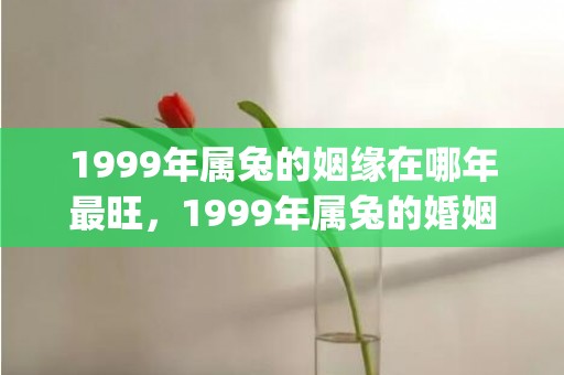 1999年属兔的姻缘在哪年最旺，1999年属兔的婚姻搭配(1999兔的正缘桃花是谁)