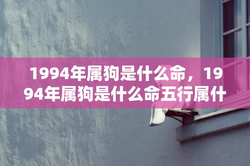 1994年属狗是什么命，1994年属狗是什么命五行属什么，1994年属狗的最佳配偶