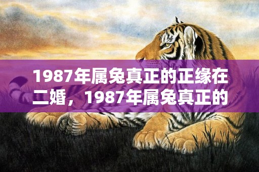 1987年属兔真正的正缘在二婚，1987年属兔真正的正缘在二婚,有何根据？ 1999年属兔几月出生好