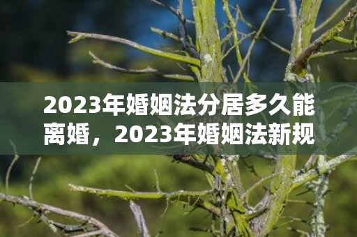 2023年婚姻法分居多久能离婚，2023年婚姻法新规定结婚年龄是多少岁？婚姻法2021年新规定多大可以结婚