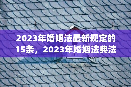 2023年婚姻法最新规定的15条，2023年婚姻法典法抚养费(婚姻法孩子抚养费)
