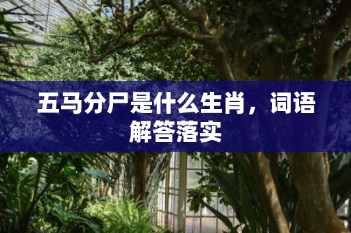 五马分尸是什么生肖，词语解答落实
