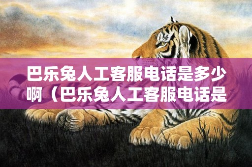 巴乐兔人工客服电话是多少啊（巴乐兔人工客服电话是多少）