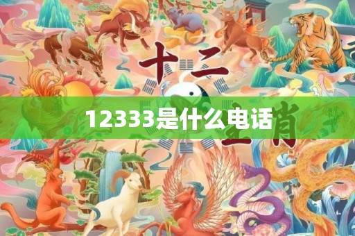 12333是什么电话