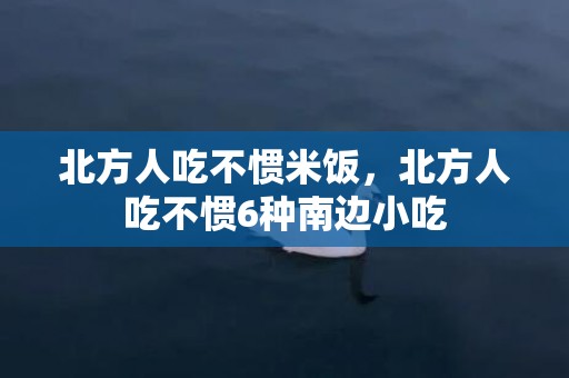 北方人吃不惯米饭，北方人吃不惯6种南边小吃