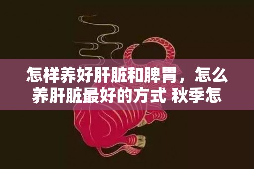怎样养好肝脏和脾胃，怎么养肝脏最好的方式 秋季怎么养肝