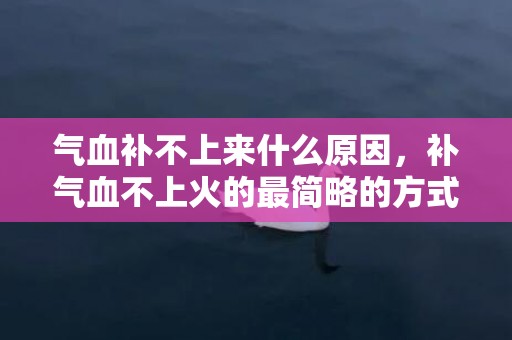 气血补不上来什么原因，补气血不上火的最简略的方式 吃什么补气血