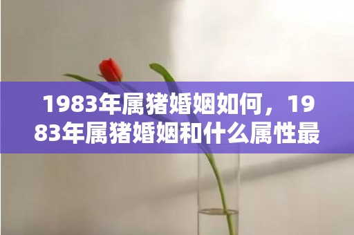 1983年属猪婚姻如何，1983年属猪婚姻和什么属性最佳
