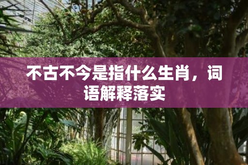 不古不今是指什么生肖，词语解释落实