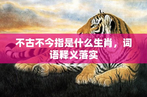 不古不今指是什么生肖，词语释义落实