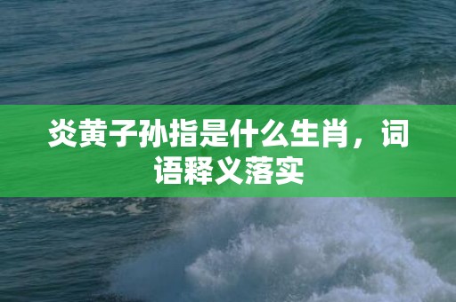 炎黄子孙指是什么生肖，词语释义落实