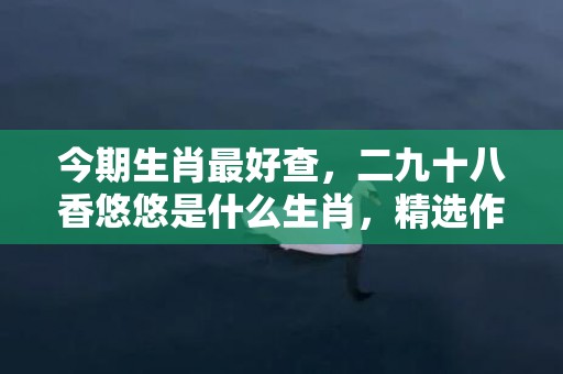今期生肖最好查，二九十八香悠悠是什么生肖，精选作答落实