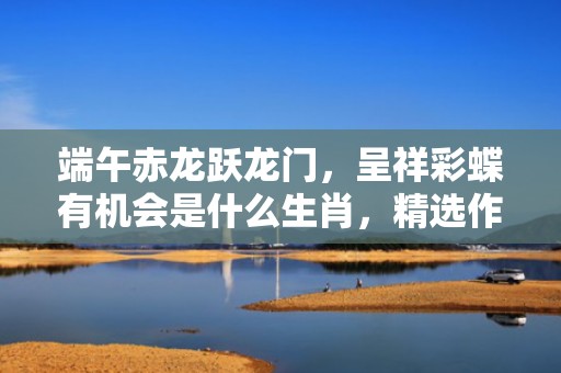 端午赤龙跃龙门，呈祥彩蝶有机会是什么生肖，精选作答落实