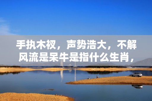 手执木衩，声势浩大，不解风流是呆牛是指什么生肖，成语解释落实