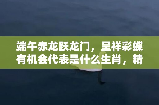 端午赤龙跃龙门，呈祥彩蝶有机会代表是什么生肖，精选成语落实