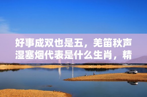 好事成双也是五，羌笛秋声湿塞烟代表是什么生肖，精选成语落实