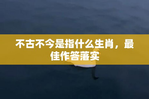 不古不今是指什么生肖，最佳作答落实