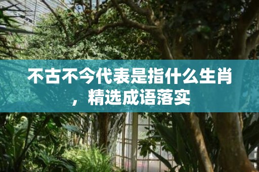 不古不今代表是指什么生肖，精选成语落实