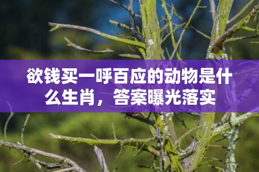 欲钱买一呼百应的动物是什么生肖，答案曝光落实