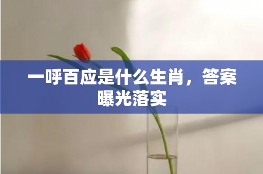 一呼百应是什么生肖，答案曝光落实