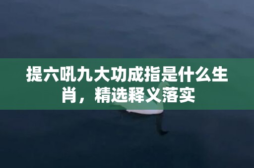 提六吼九大功成指是什么生肖，精选释义落实