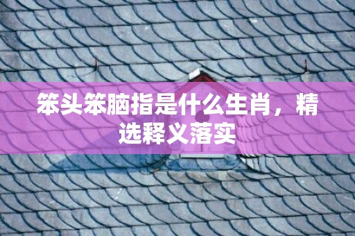 笨头笨脑指是什么生肖，精选释义落实