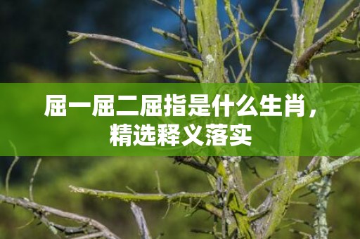 屈一屈二屈指是什么生肖，精选释义落实
