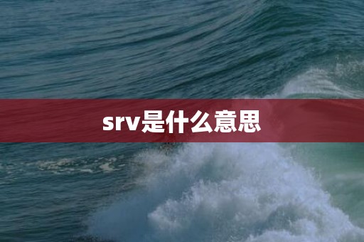 srv是什么意思