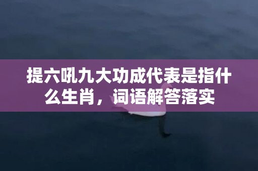 提六吼九大功成代表是指什么生肖，词语解答落实