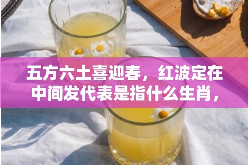 五方六土喜迎春，红波定在中间发代表是指什么生肖，词语解答落实
