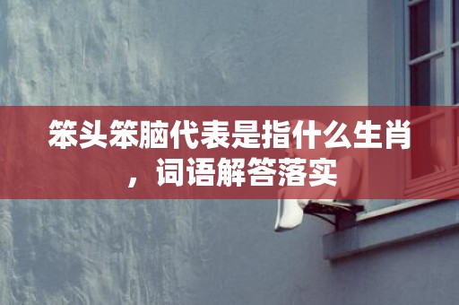 笨头笨脑代表是指什么生肖，词语解答落实
