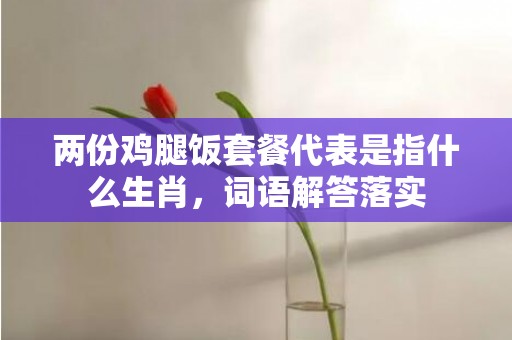 两份鸡腿饭套餐代表是指什么生肖，词语解答落实