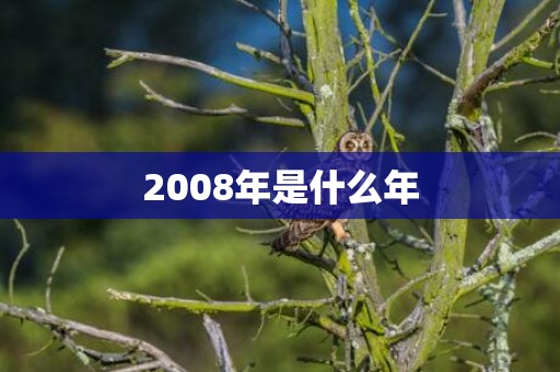 2008年是什么年