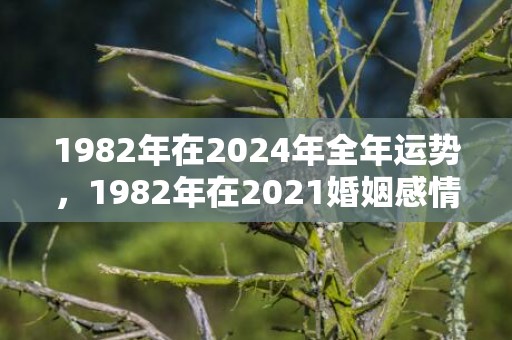 1982年在2024年全年运势，1982年在2021婚姻感情如何
