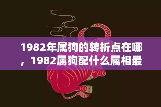 1982年属狗的转折点在哪，1982属狗配什么属相最好