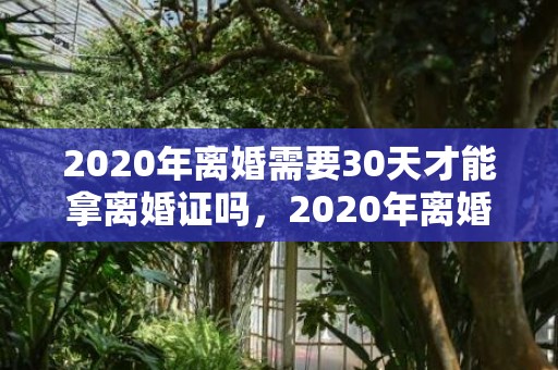 2020年离婚需要30天才能拿离婚证吗，2020年离婚需要什么手续有冷静期吗