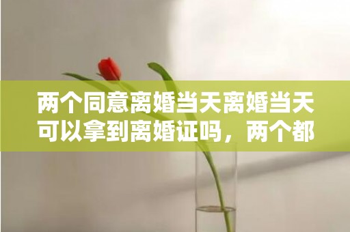 两个同意离婚当天离婚当天可以拿到离婚证吗，两个都同意离婚当天可以办吗,有两个孩子吗？口头同意离婚但手续还没办怎么办